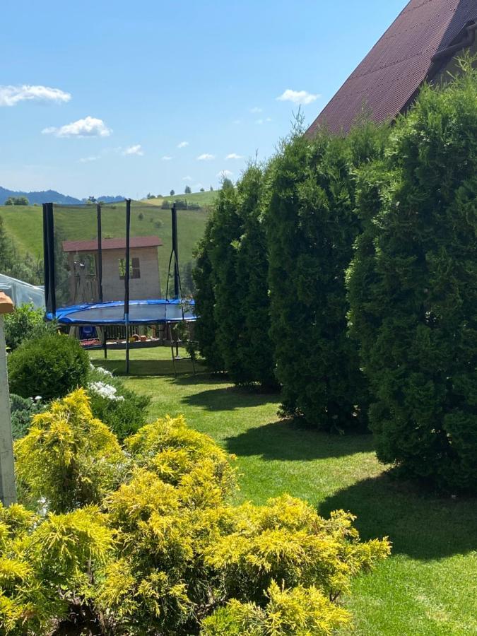 Agroturystyka U Ireny Mizerna Extérieur photo